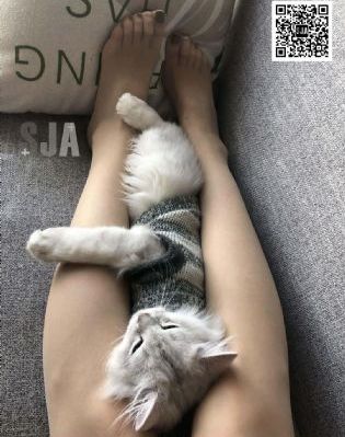 进口地板和国产的区别_高清日韩免费观看